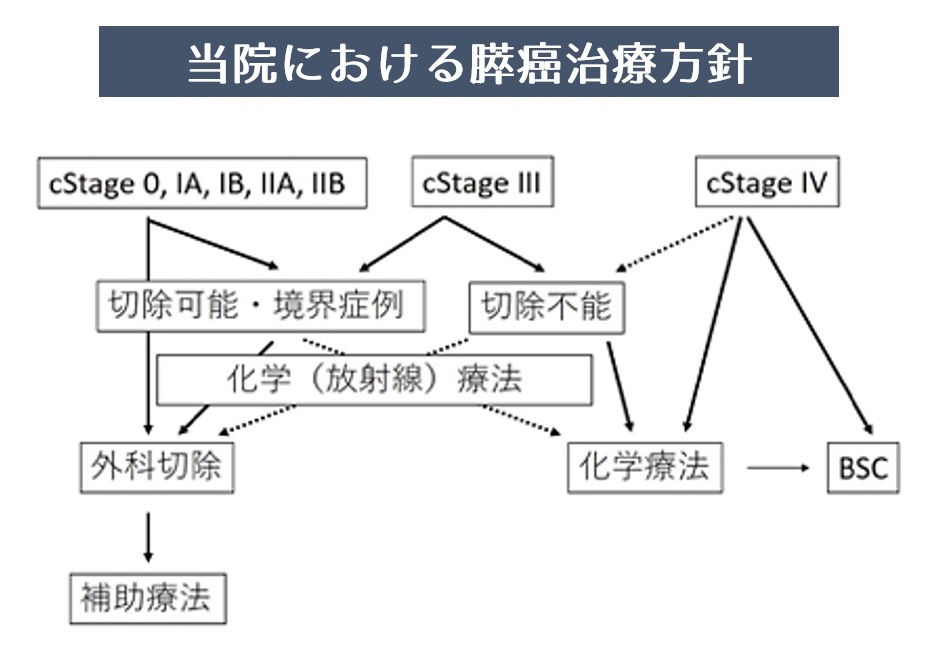 図2.当院における膵癌治療方針｜膵臓の病気と治療