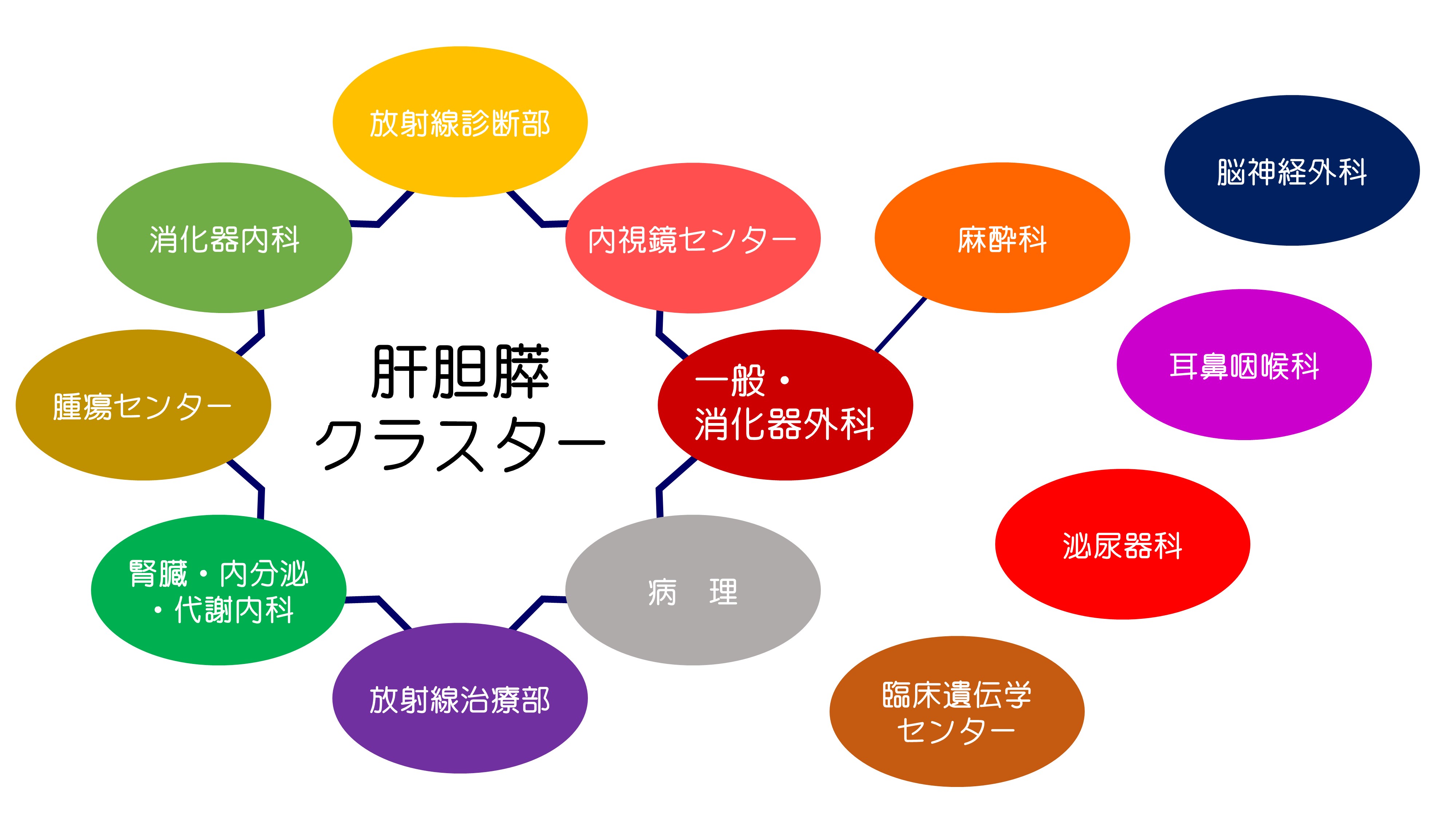 図. 肝胆膵クラスター｜膵臓の病気と治療